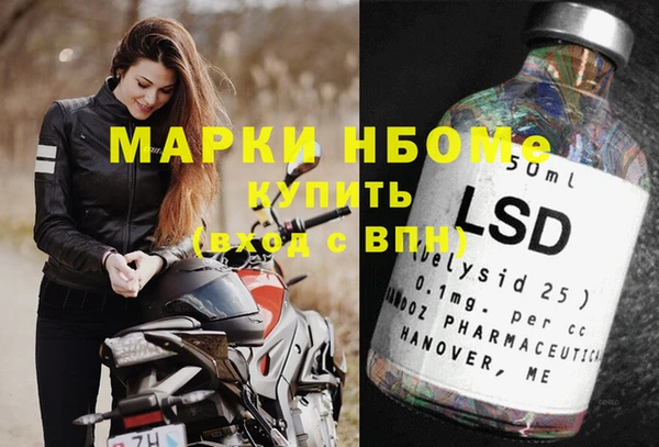стаф Магадан