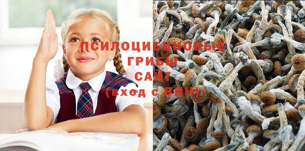 героин Абаза