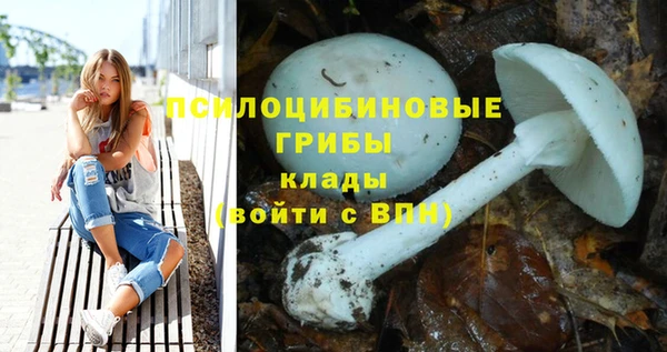 гашик Алзамай
