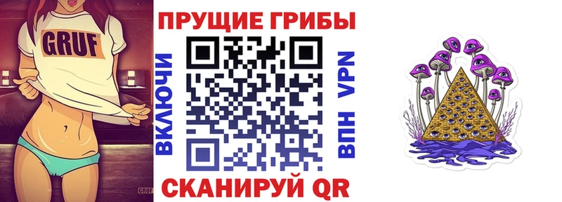 дарк нет Telegram Хабаровск Галлюциногенные грибы Magic Shrooms