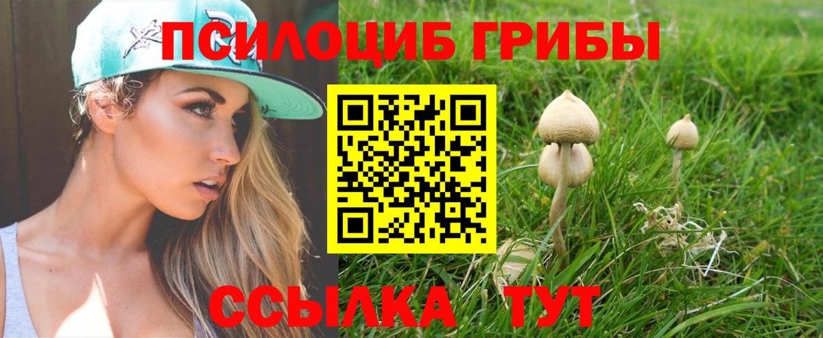 Галлюциногенные грибы ЛСД Хабаровск