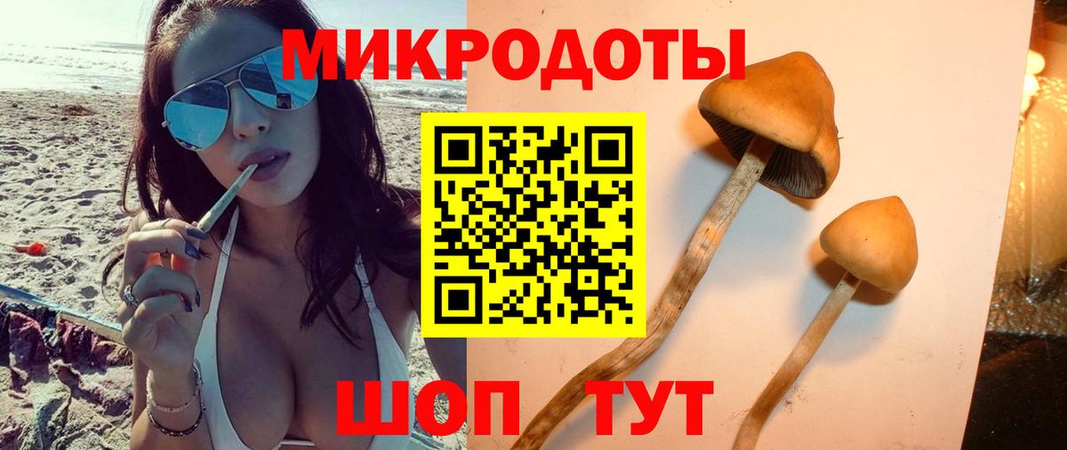 Хабаровск  Галлюциногенные грибы прущие грибы  Вход с VPN 